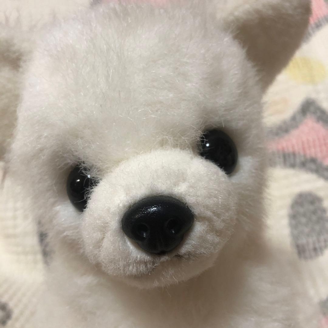 レトロ　チワワ　ぬいぐるみ　中古品　メーカー名不明