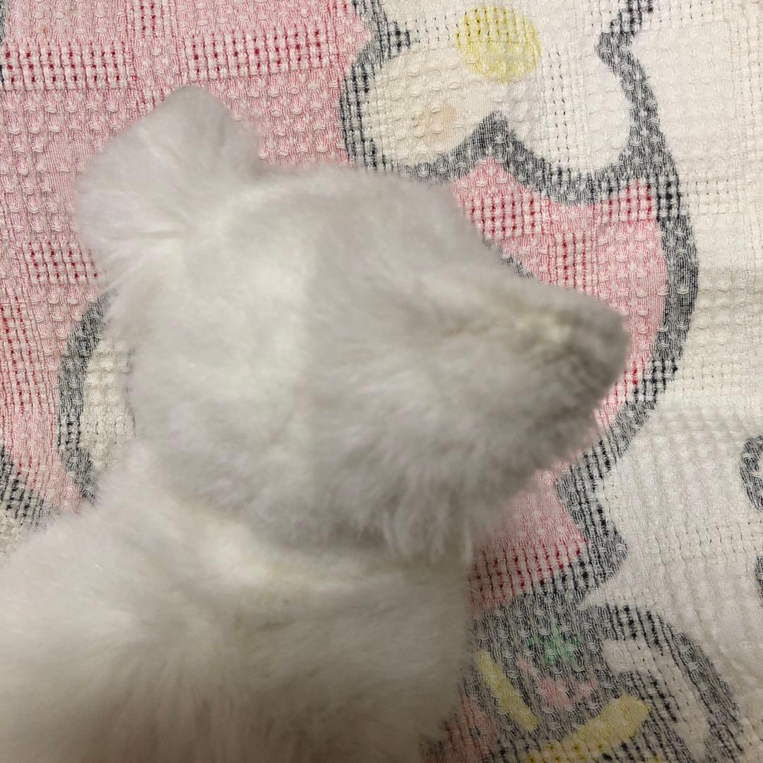 レトロ　チワワ　ぬいぐるみ　中古品　メーカー名不明