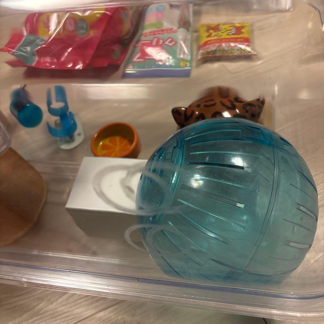 ハムスター　大きめゲージ　飼育セット