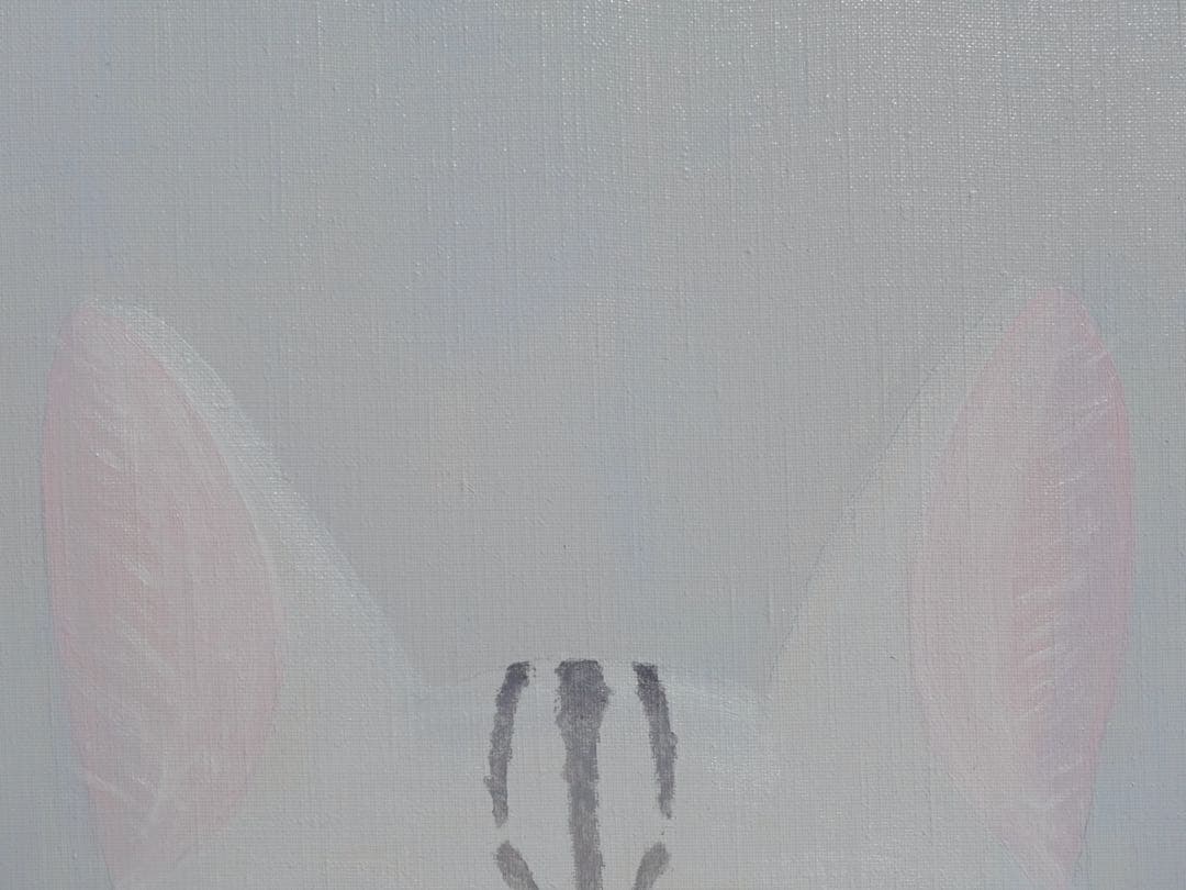 『まる子』　宇宙の目を持つ猫の油絵