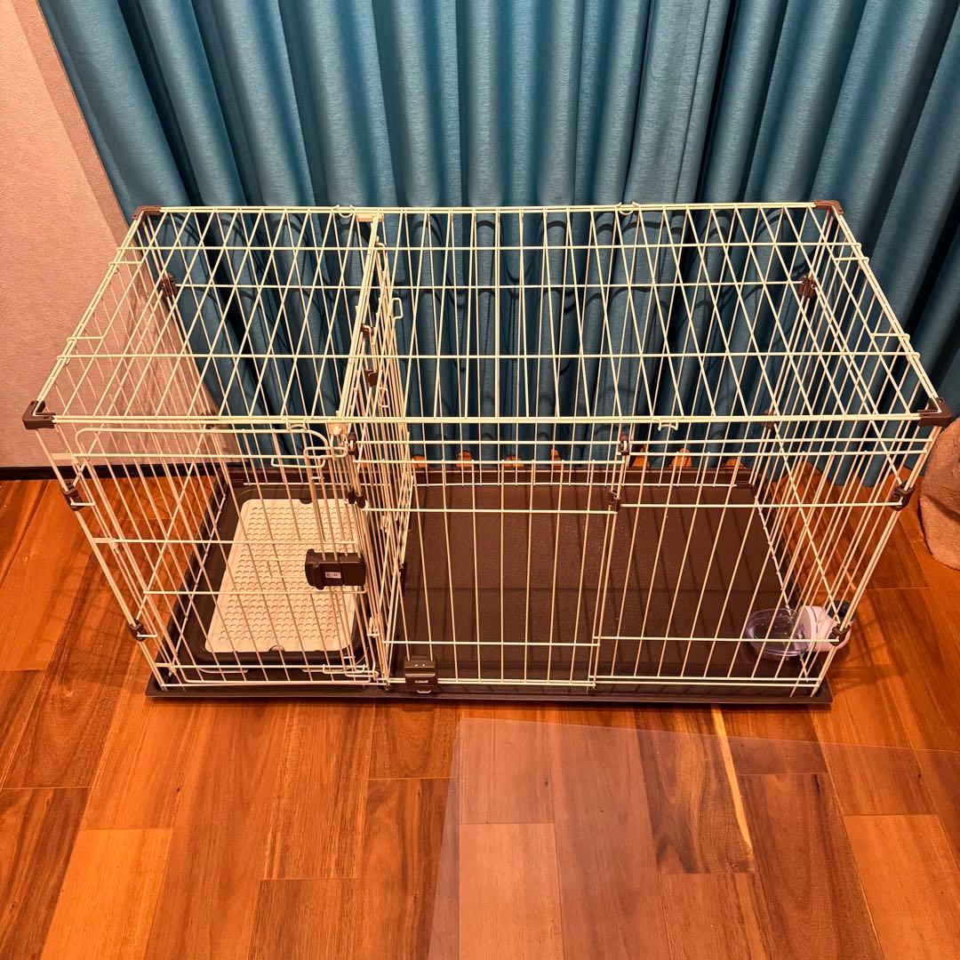 んぽちゃむ 【オマケ付き／引取可】コーナンオリジナル LIFELEX 2ル