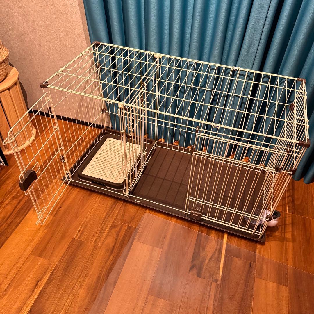 んぽちゃむ 【オマケ付き／引取可】コーナンオリジナル LIFELEX 2ル