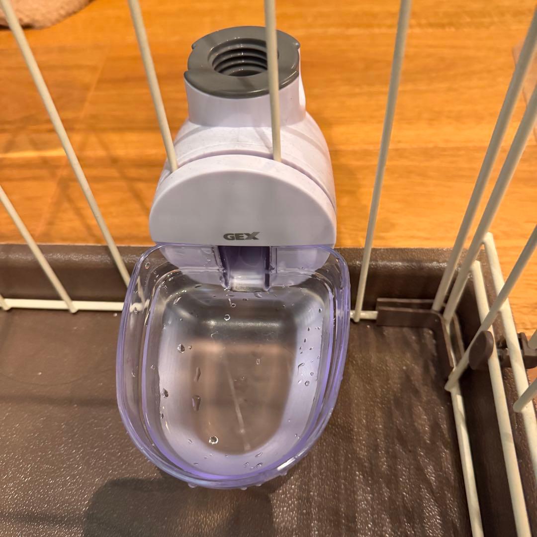 んぽちゃむ 【オマケ付き／引取可】コーナンオリジナル LIFELEX 2ル