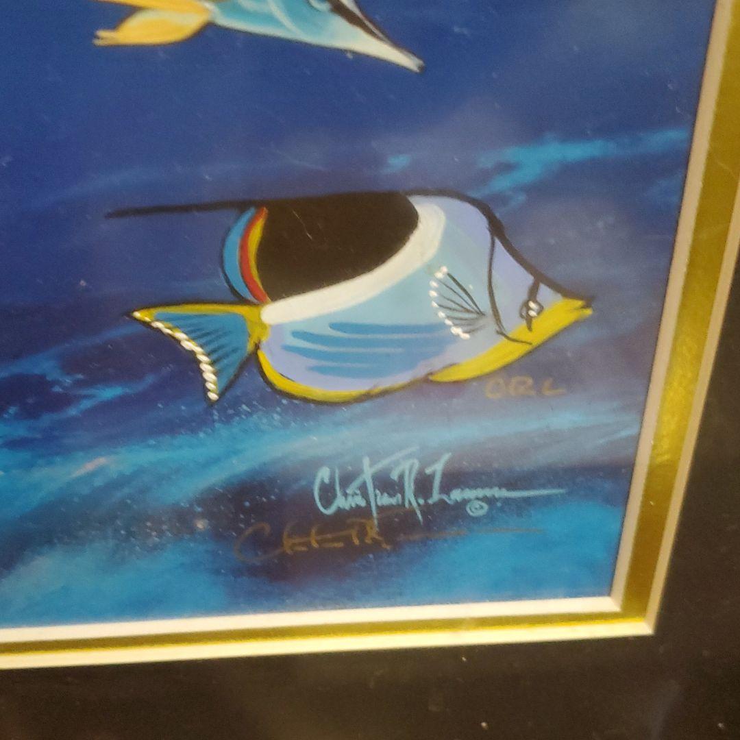 ドーンオブザドルフィン