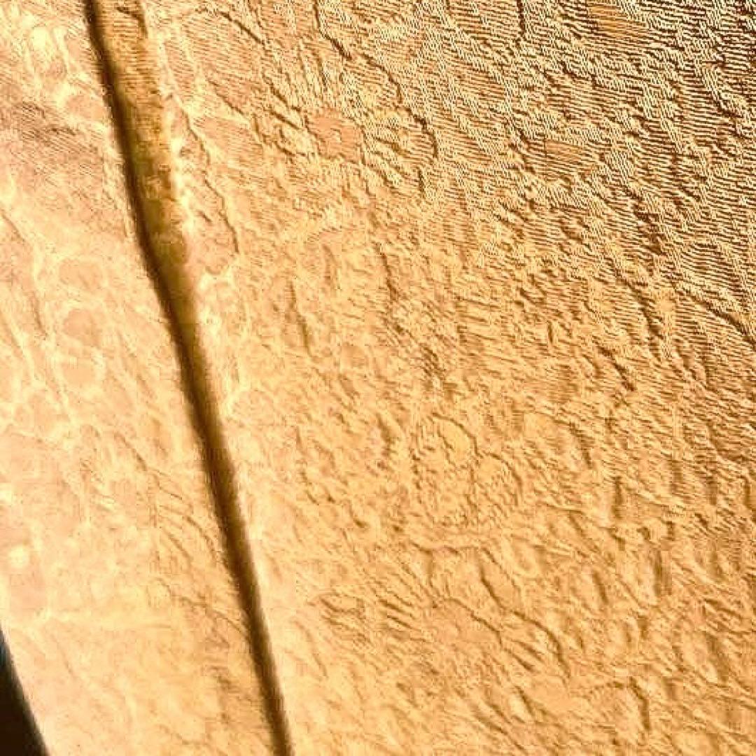 振袖フルセットますいわ屋　手染め　紋意匠　無地　成人式振袖　振袖　裄丈70