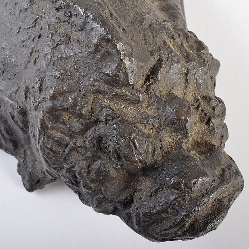 彫刻家　岡本錦朋作　ブロンズ　虎魚　おこぜ　置物　M　R7846