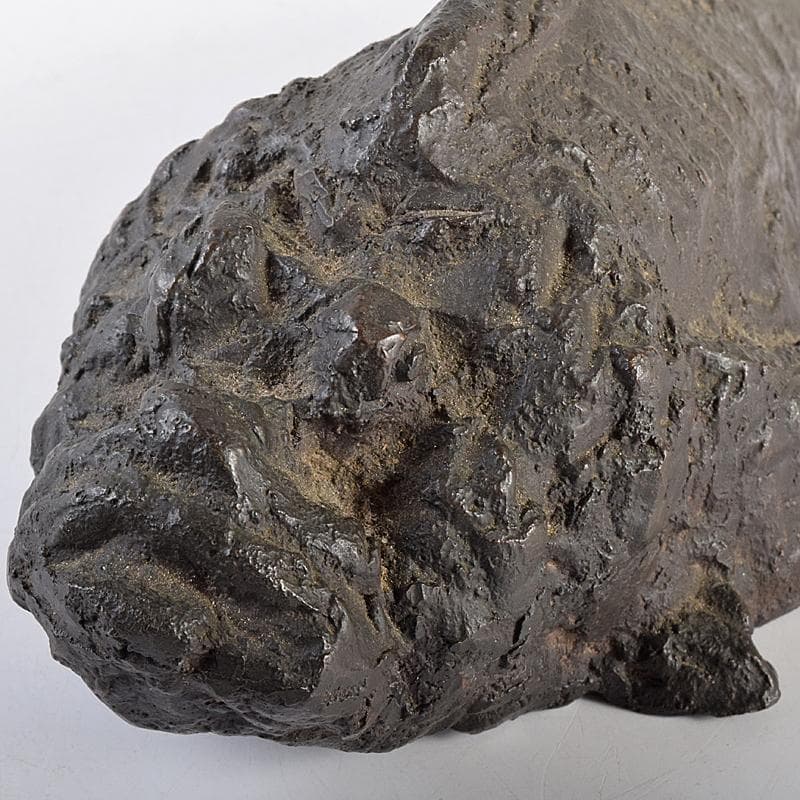 彫刻家　岡本錦朋作　ブロンズ　虎魚　おこぜ　置物　M　R7846