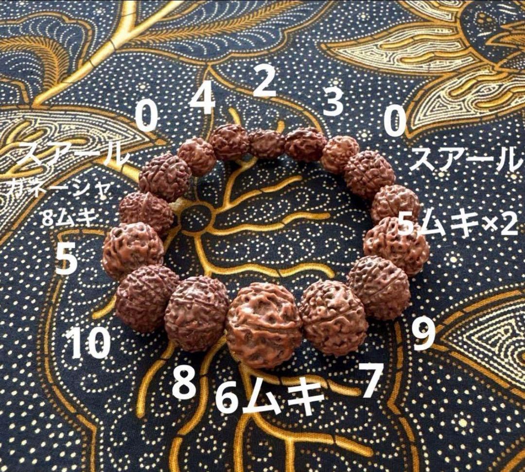 ✰︎‪ 琥珀 ✰ ✰︎ ルドラクシャマーラー　トップ13ムキ