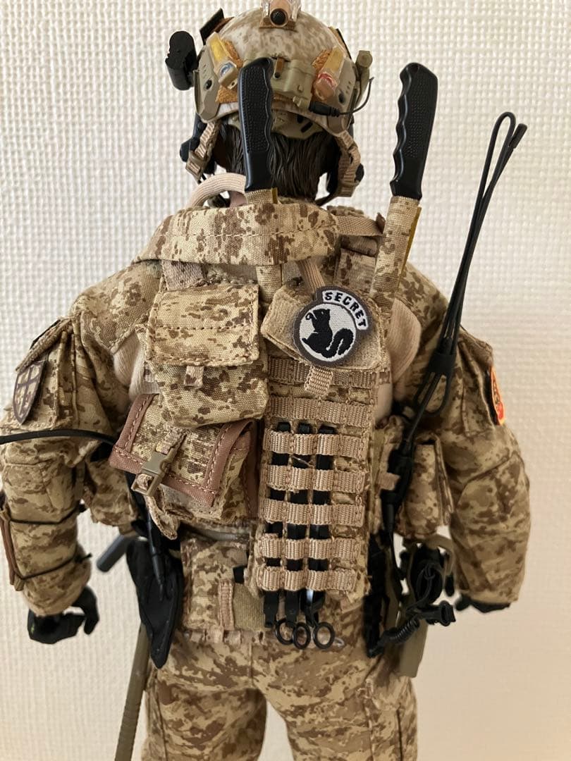DAMTOYS 1/6　DEVGRU ネプチューン・スピア作戦 ジェロニモ