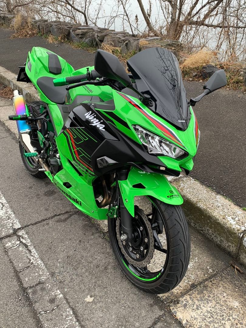 カエディアウィンカー 2個セット