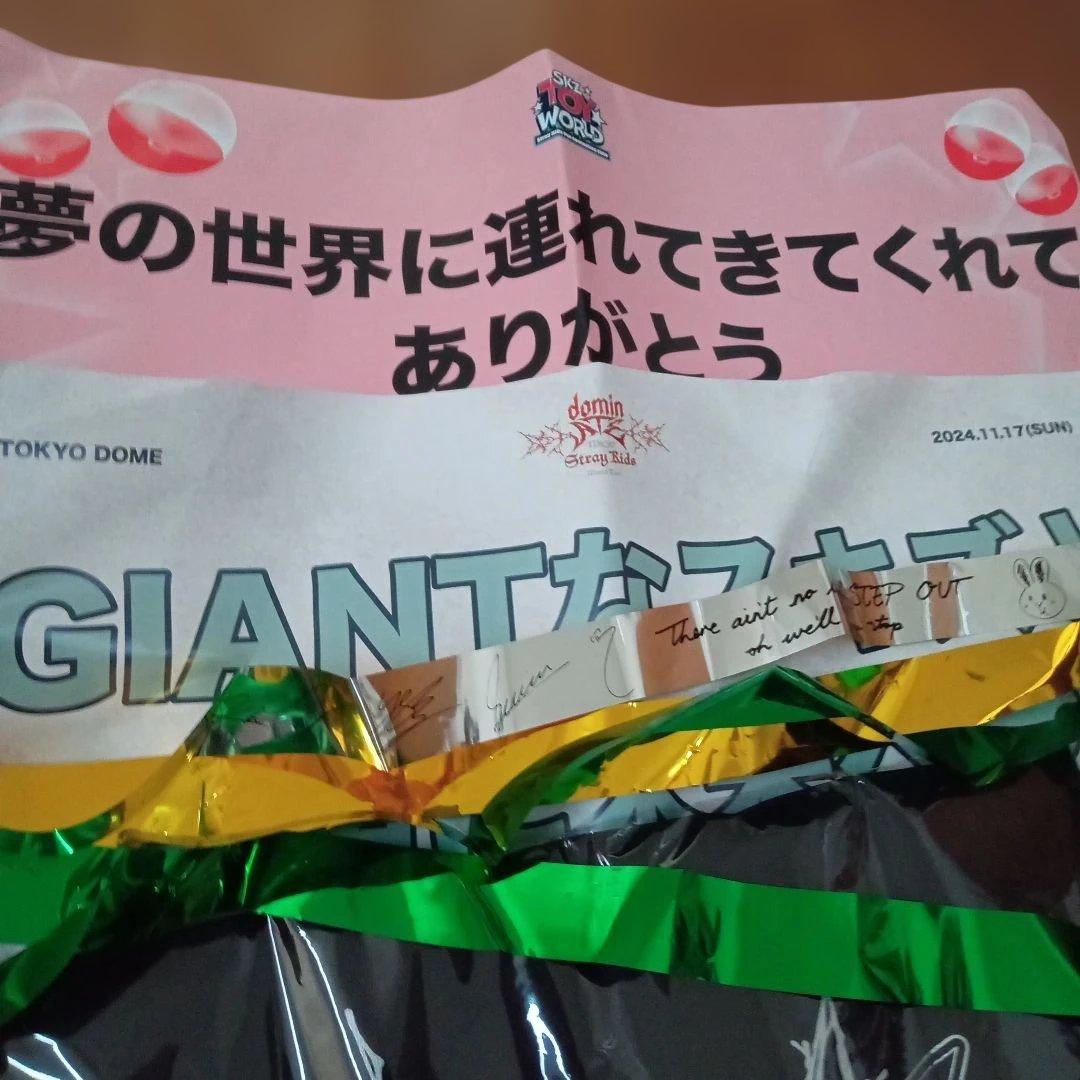 スキズ 5STAR dominateツアー アプグレ ペンミ ファンクラブグッズ