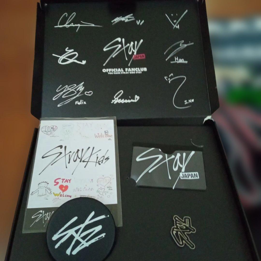 スキズ 5STAR dominateツアー アプグレ ペンミ ファンクラブグッズ