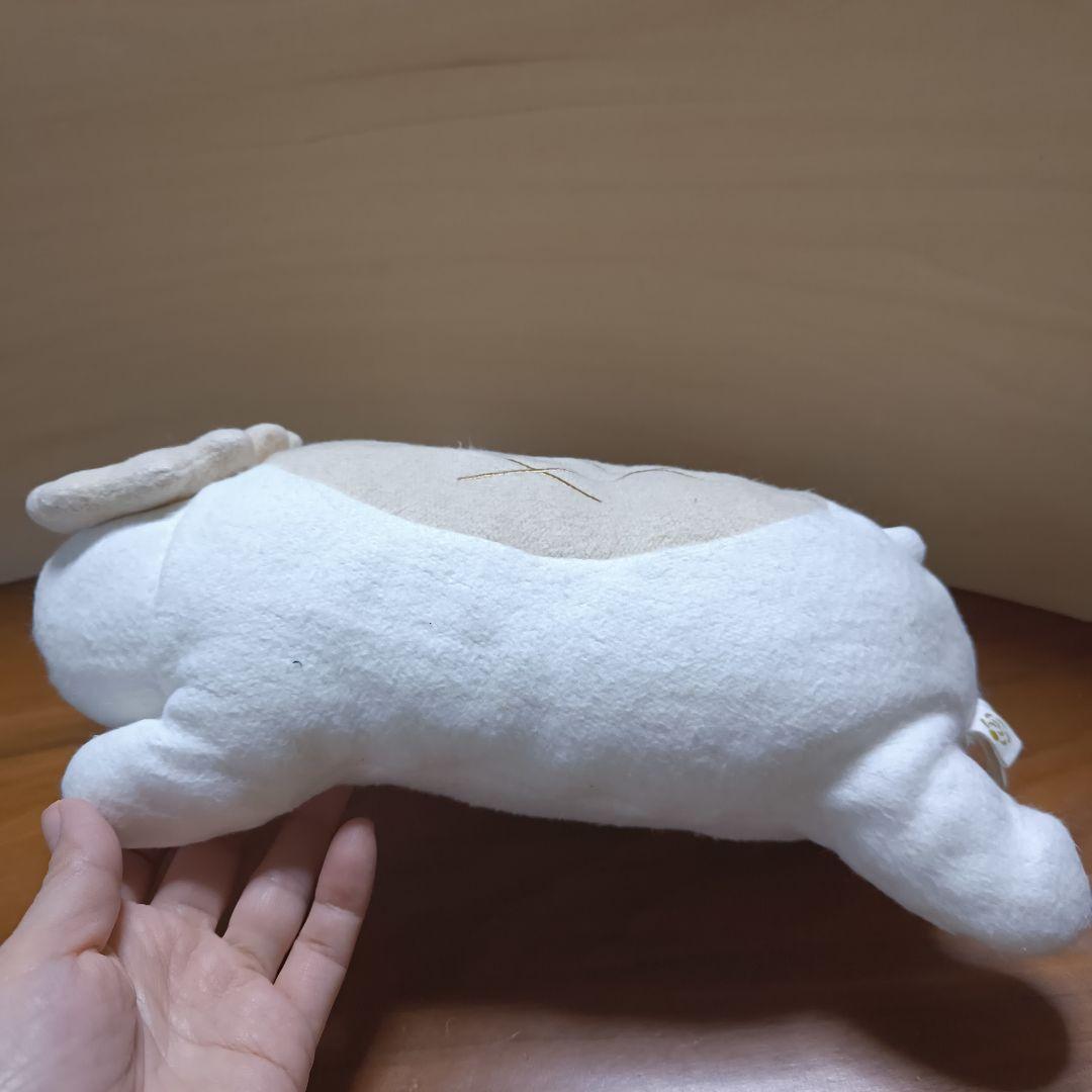 なちゅらるせらぴ　フリッカ　fricca　まつもと　松本　かっぱ　オーガニック