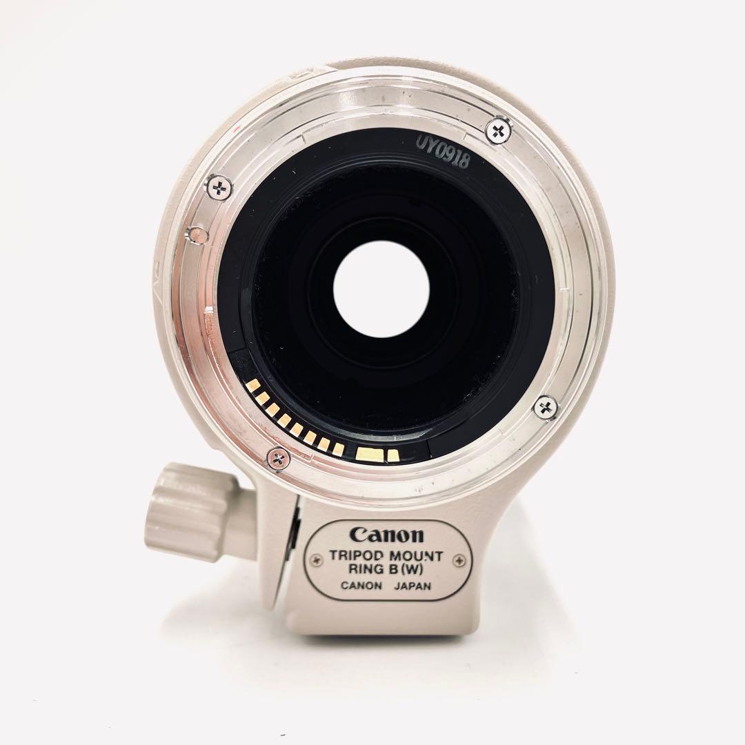 レンズ(ズーム) Canon EF 100-400mm F4.5-5.6L IS USM