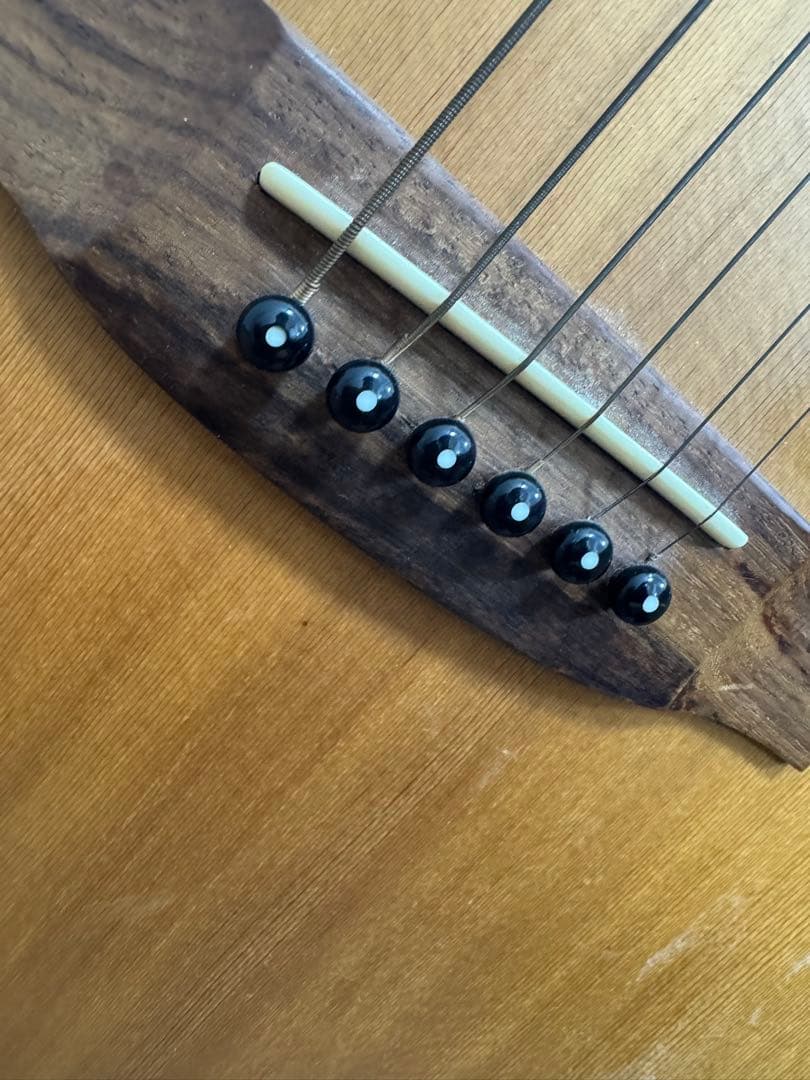 Takamine G Series アコースティックギター早い者勝ち✨