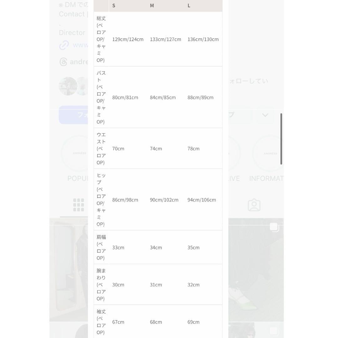 スーツ・フォーマル・ドレス ANDRESD sparkle lace velour dress