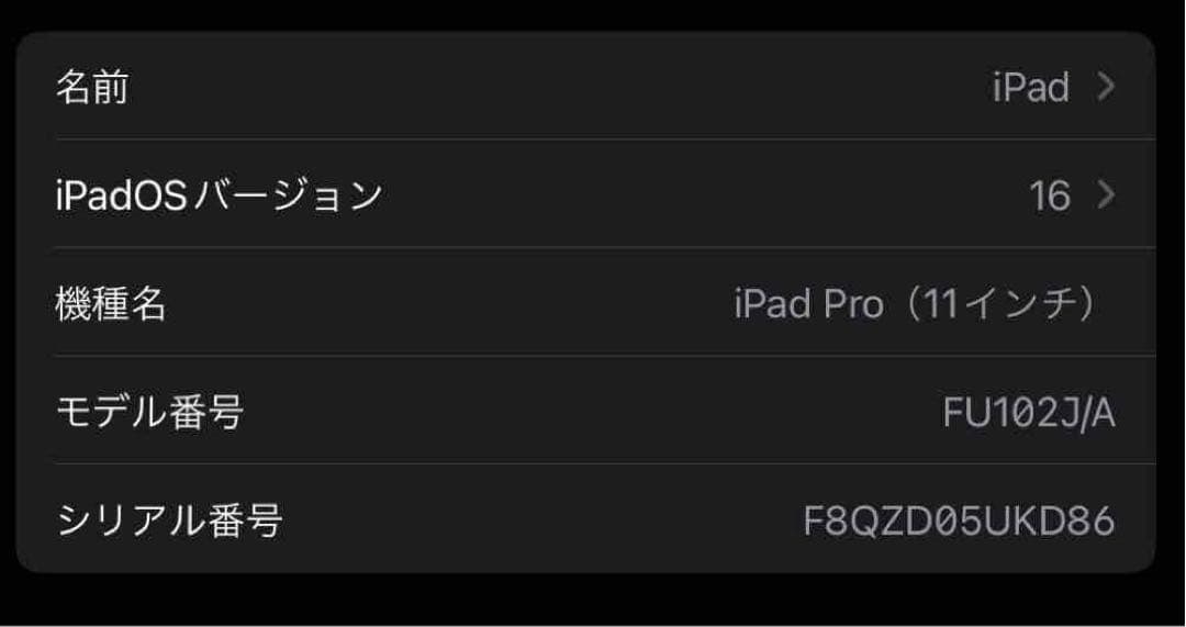 iPad Pro 第1世代 256GB 11インチ スペースグレーセルラーモデル