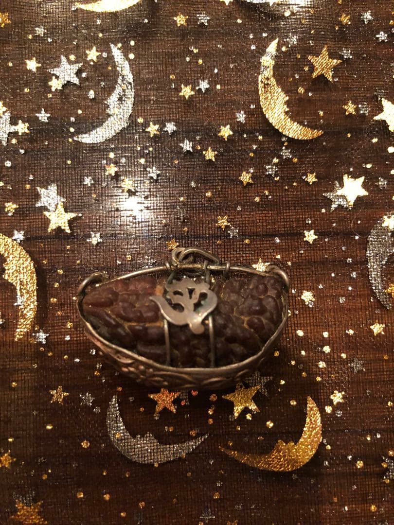 ルドラクシャ一面　大