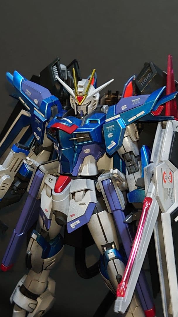 HGライジングフリーダムガンダムとイモータルジャスティスガンダム