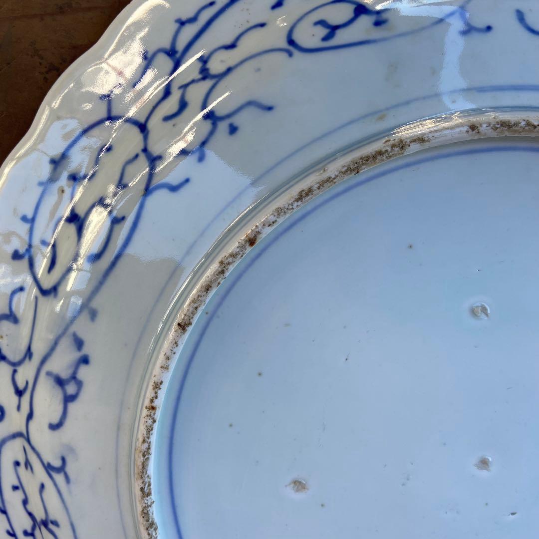 古伊万里 染付 輪花 大皿 骨董品