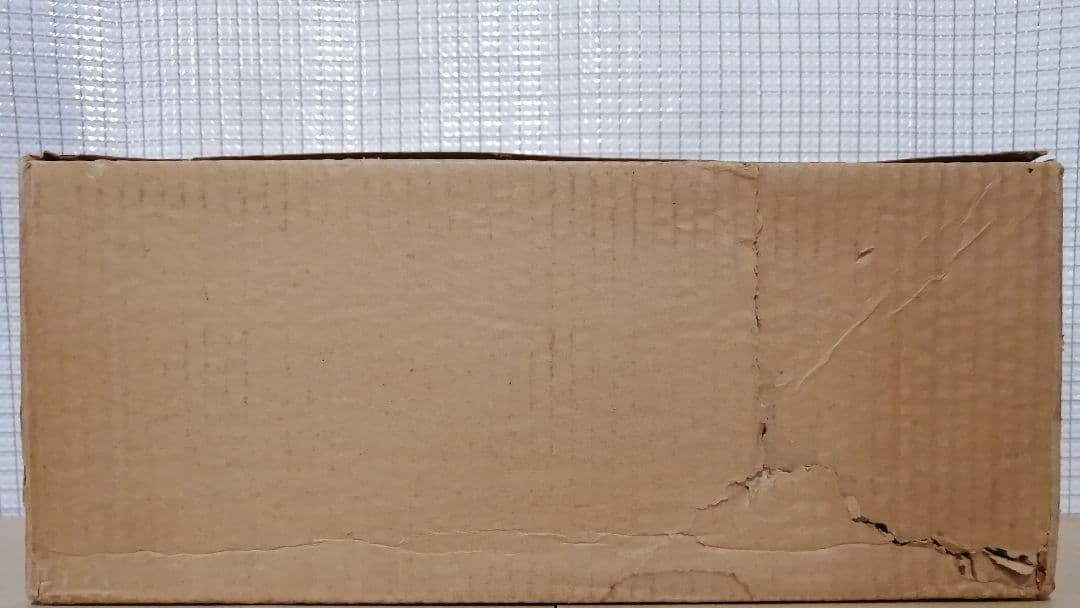 アオシン　元気な仔犬　日本製