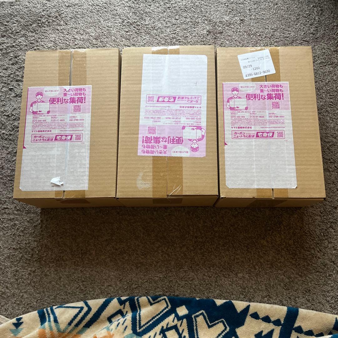 【3種類BOXセット】ポケモンセンター産　スペシャルボックス　未開封