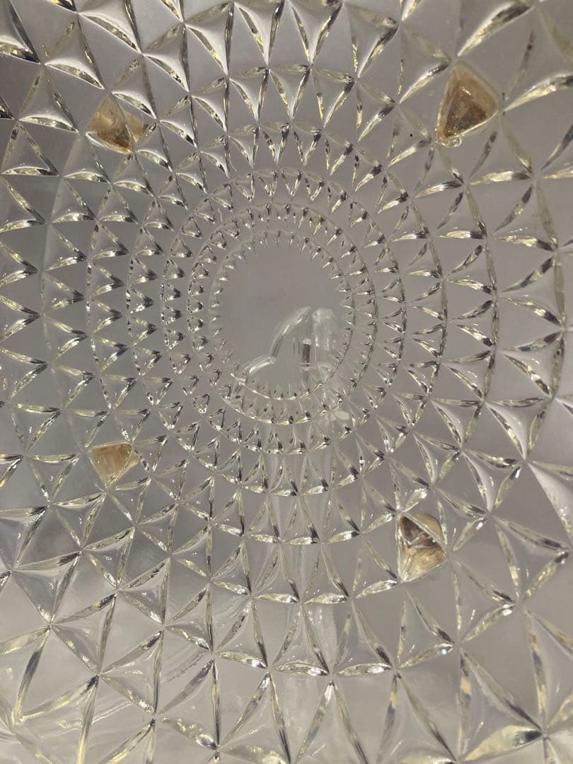 ルネ・ラリック ロザス プレート 大皿 ガラス皿 花柄 バラ窓 1930年代