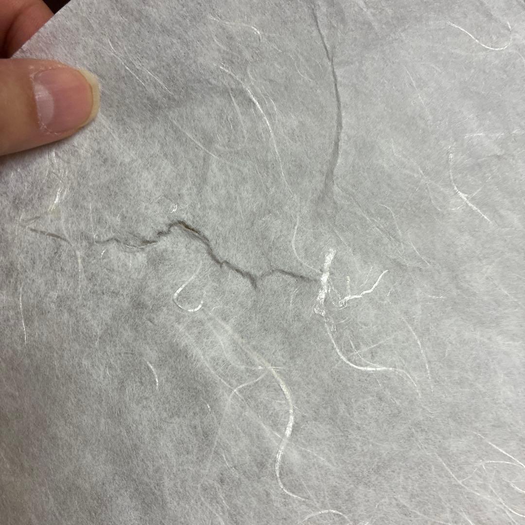 セツコ　スワトウ帯