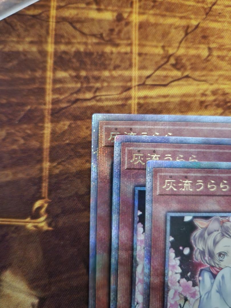 遊戯王　灰流うらら　絵違い　クオシク　25thシークレット　3枚