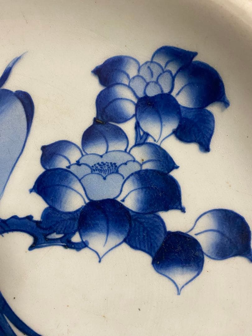 ■古伊万里 志田窯「椿に鳥文10寸皿」■検）大皿江戸後期図変わり皿