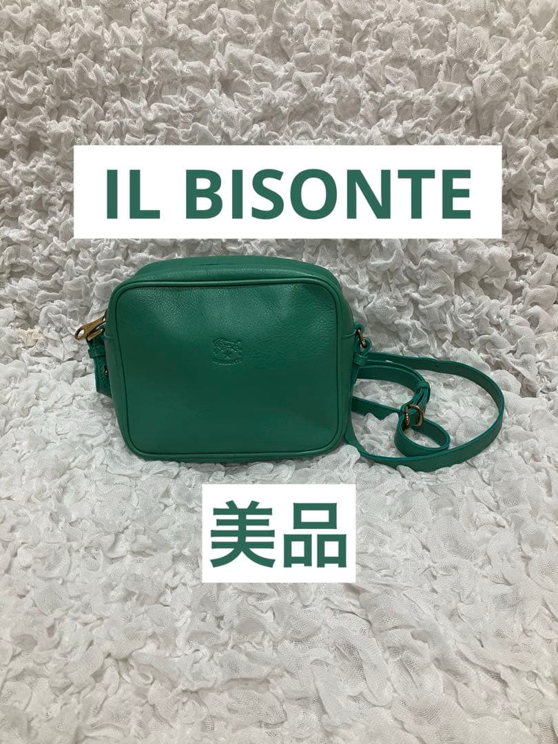 きし⭐︎【美品】【正規品】IL BISONTE ショルダーバッグ　グリーン