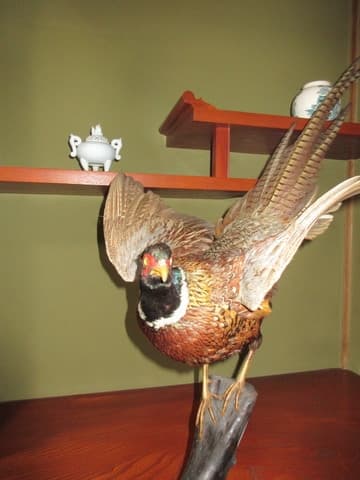 雄雉のはくせい