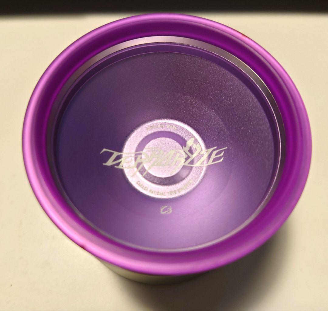 R*a様 残り9時間　特価ラスト　新品　テラライズ