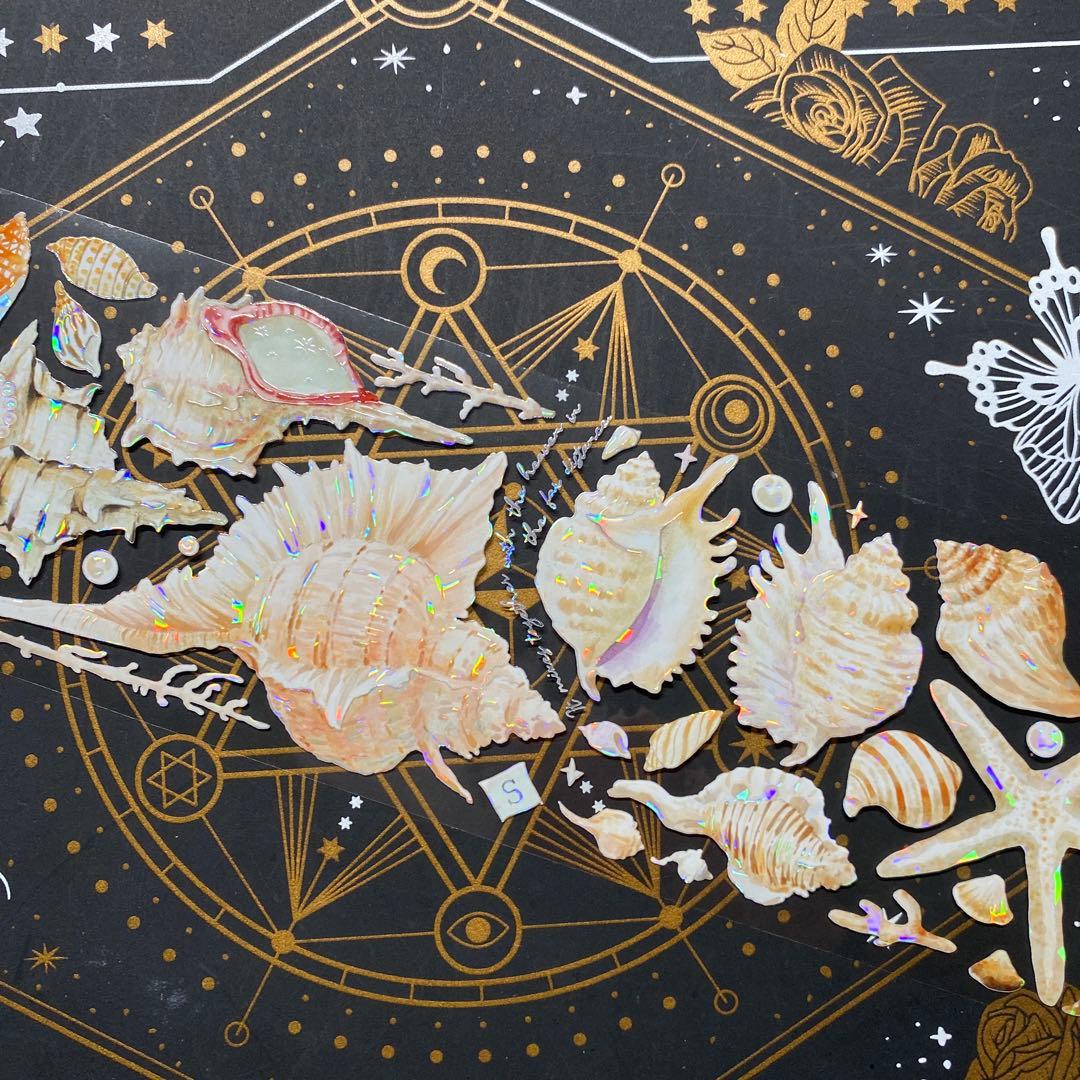 【9262】海外　マステ　中古巻　貝殻光マスキングテープ　貝　装飾系