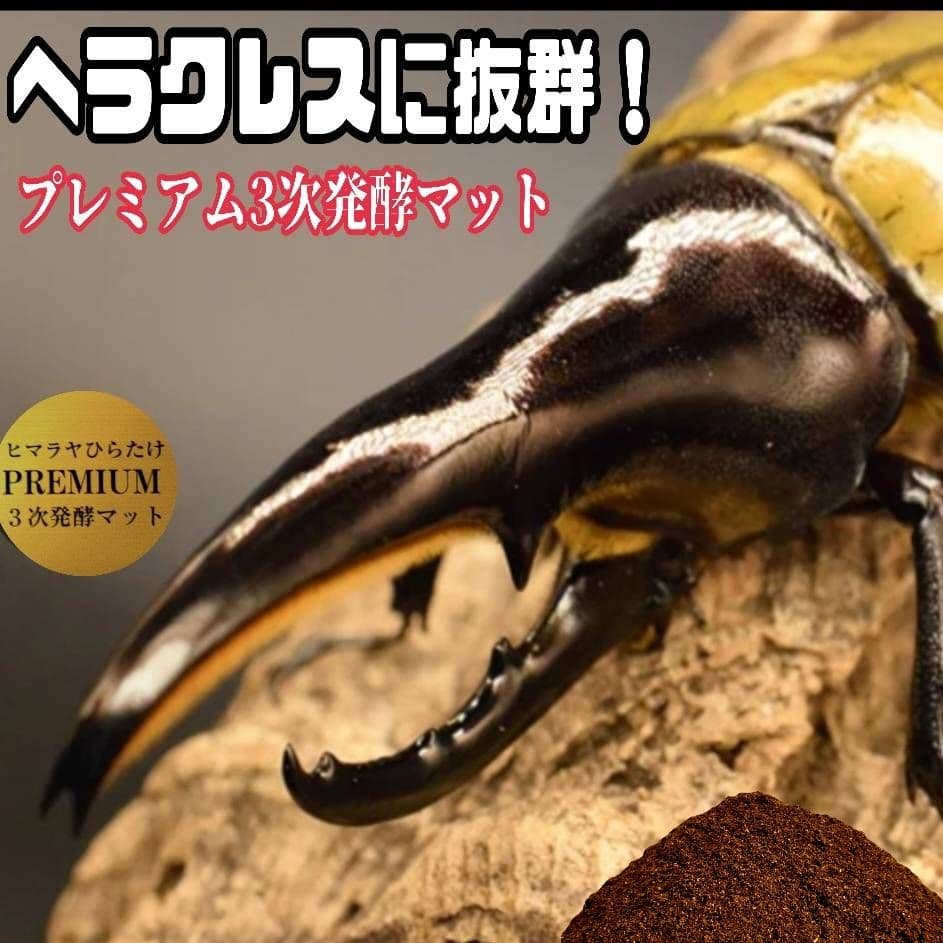 カブトムシ幼虫が巨大化！プレミアム3次発酵マット【70リットル】産卵にも抜群！