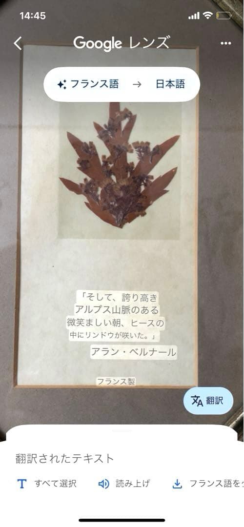 フランス製♡押し花アートフレーム♡幸せメッセージ入り♡ペア♡