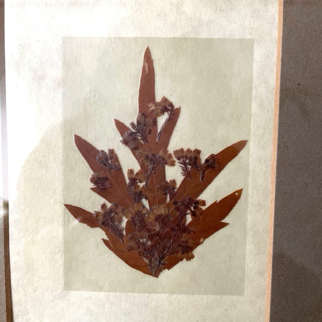 フランス製♡押し花アートフレーム♡幸せメッセージ入り♡ペア♡