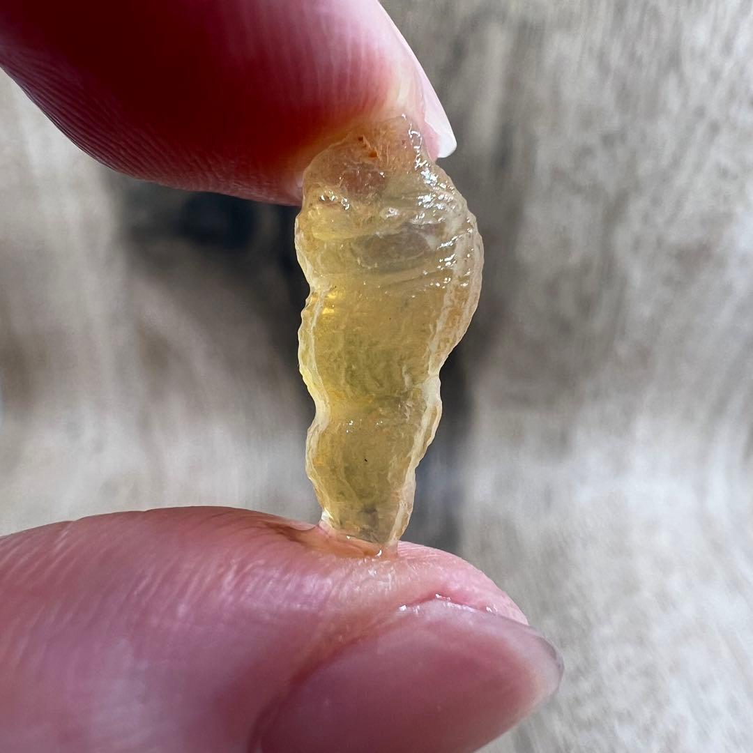 オパライズドシェル オパール 貝 巻貝 鉱物 標本 原石