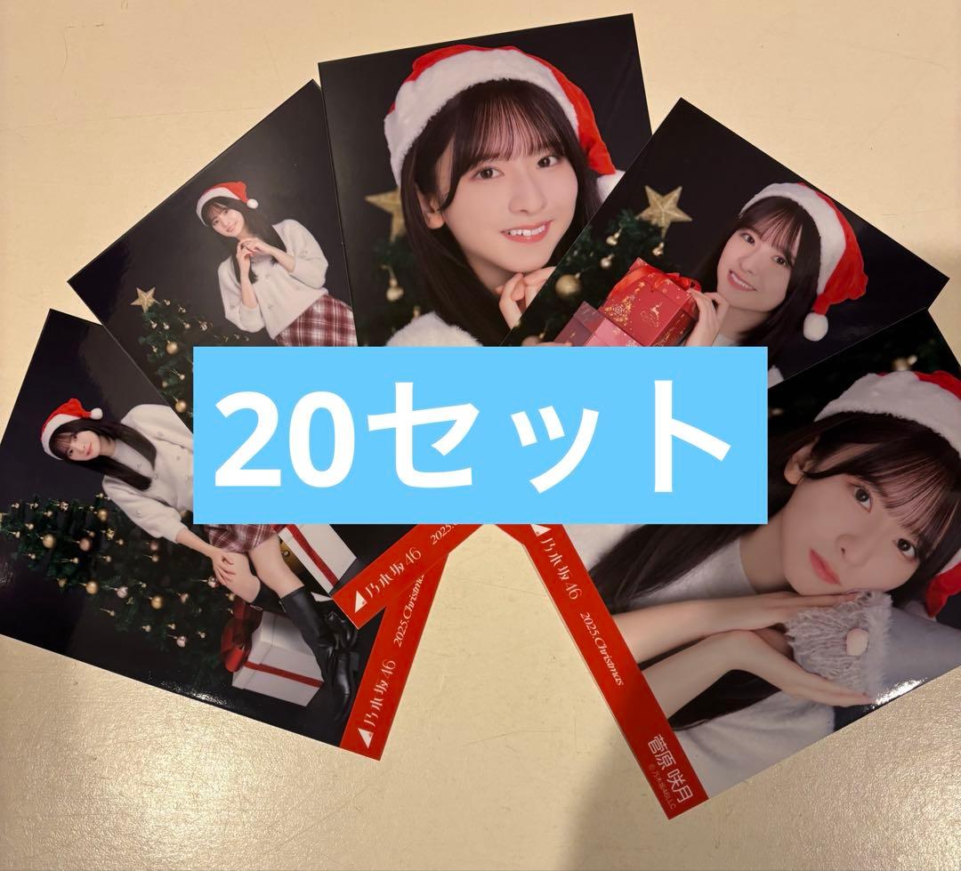 乃木坂46 2025年11月個別生写真5枚セット/クリスマス2025 菅原咲月