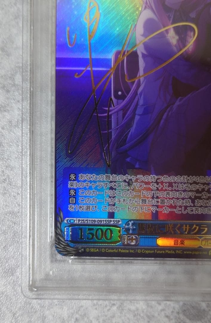 ⭐️ PSA10 黒板に咲くサクラ 巡音ルカ SSP 初音ミク ヴァイス