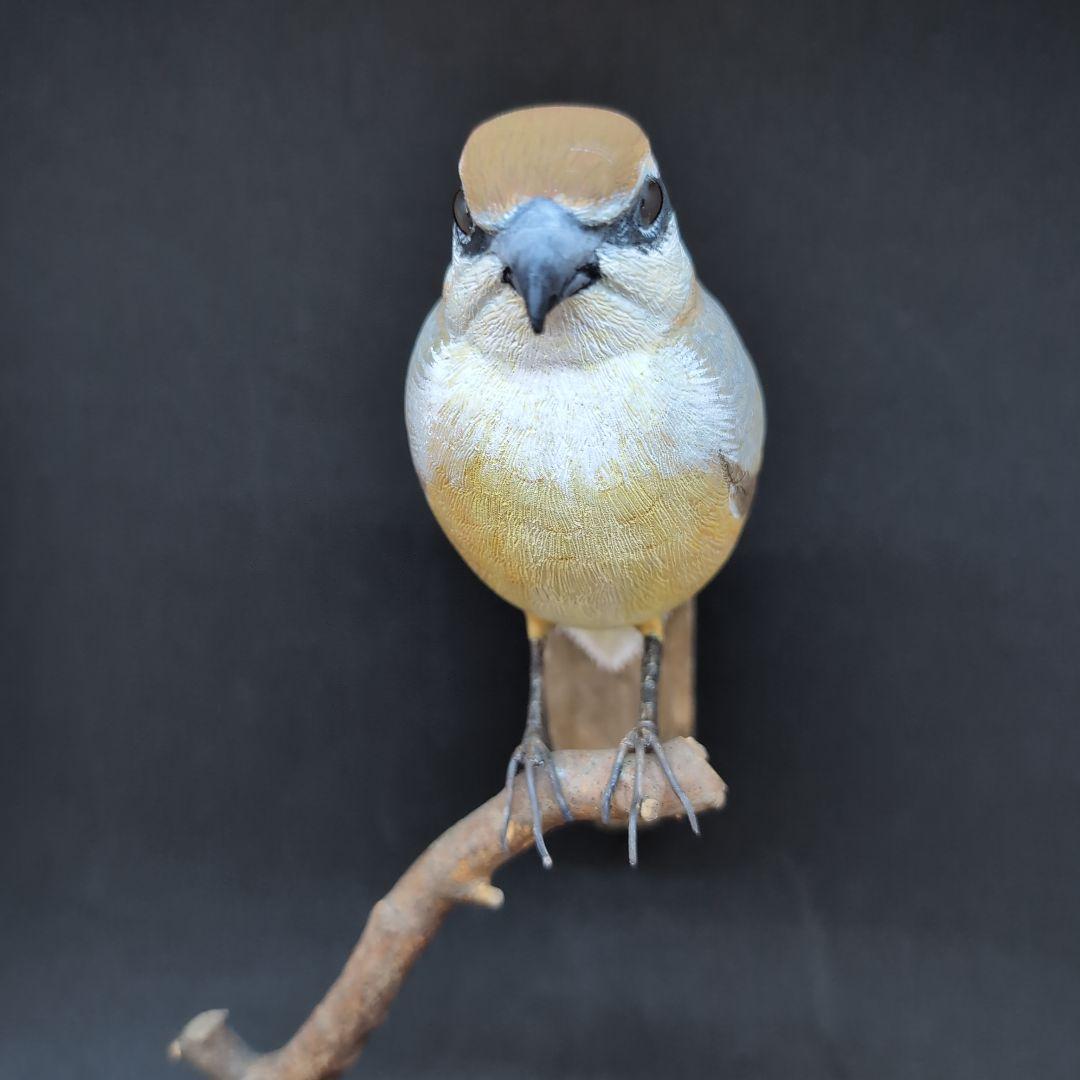 リアルな木製の野鳥　「モズ」　 木彫りの野鳥　バードカービング　野鳥彫刻