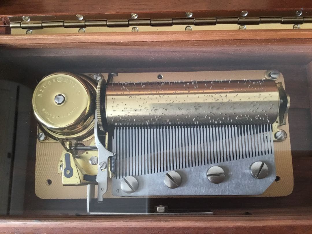 リュージュ　50弁　雨のち晴れ（アフター・ザ・レイン・サンシャイン）他3曲