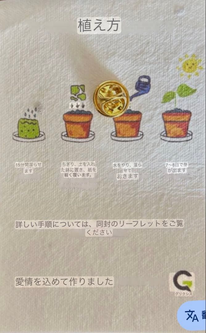 激レア❗️ジャマイカNFCピンバッチ、キーホルダー木製ペン、バッジ台紙は種入り❗️