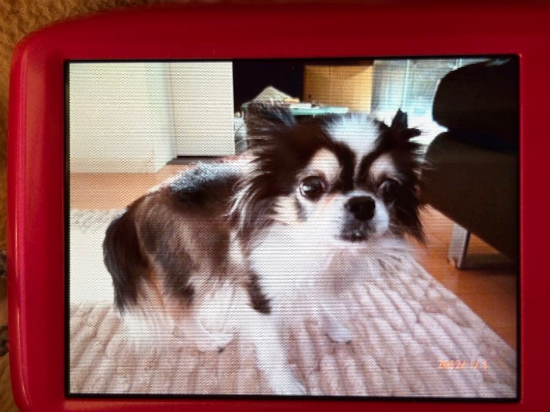 Panasonic LUMIX DMC-S2 ピンク