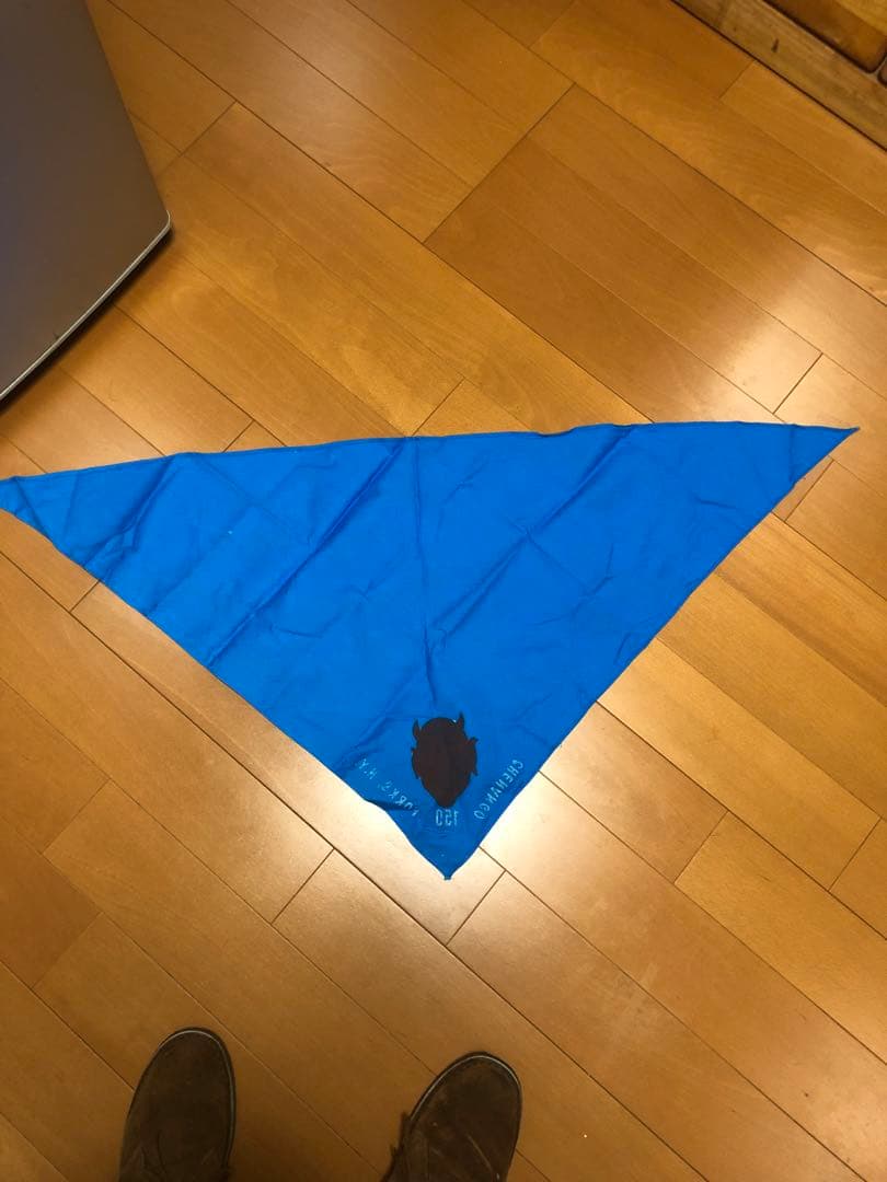 ビンテージ50s デビル　悪魔　ミッドセンチュリー ボーイスカウト　レトロ