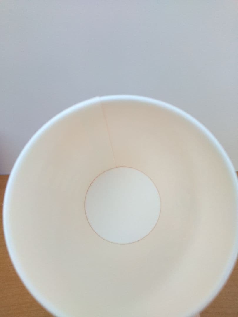 STARBUCKS　スターバックス　ホリデーカップ　2016　未使用　未記入