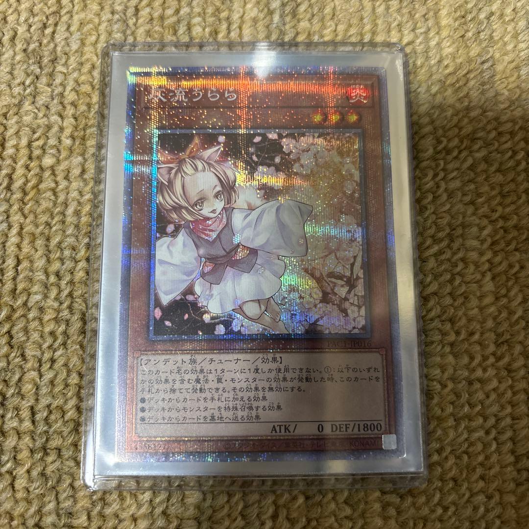 遊戯王　灰流うらら　プリズマ