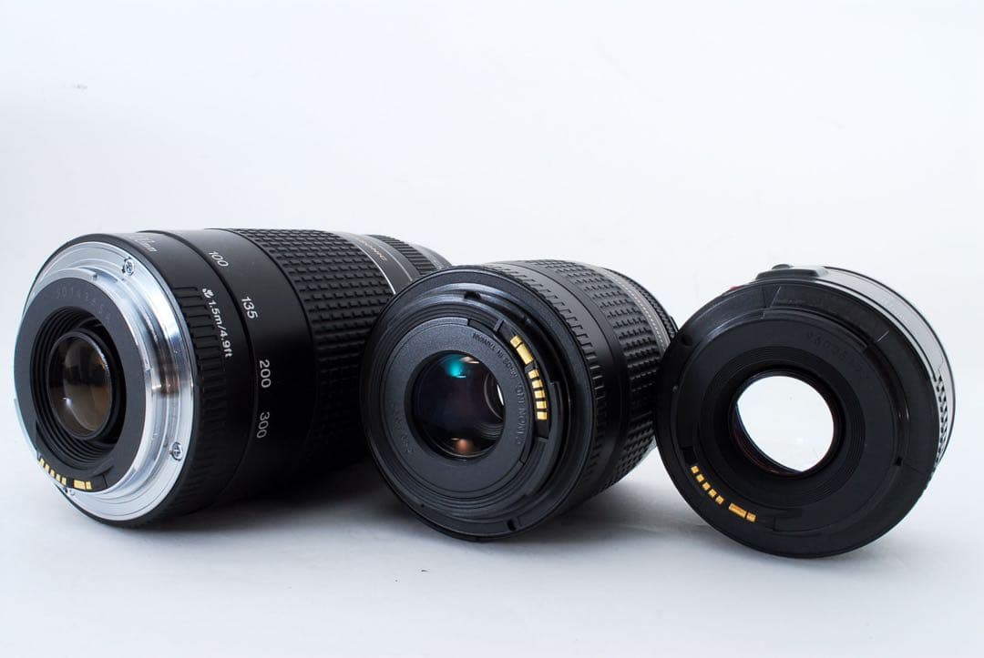 キャノン　Canon EOS 8000D 標準&望遠&単焦点トリプルレンズセット