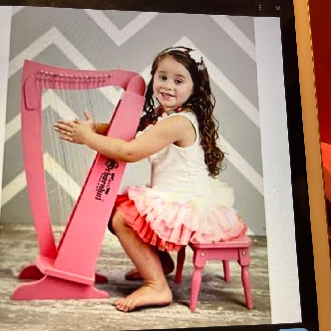 シェーンハット　ハープ　ベンチ