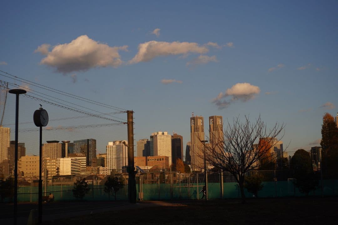 レンズ(単焦点) 070_Nikon W-Nikkor 35mm F3.5 (L Mount)